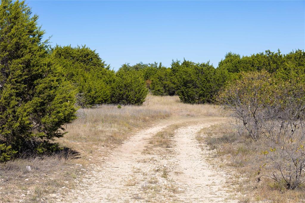 52-acres 52-acres Cr-407 Road Baird, TX 79504 - Photo 17 of 39 a view of a dry yard with trees in the background