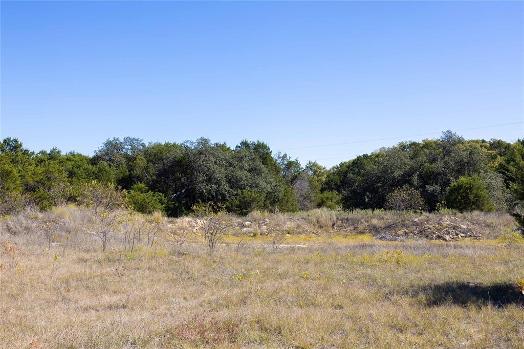 52-acres 52-acres Cr-407 Road Baird, TX 79504 - Photo 18 of 39 View of nature