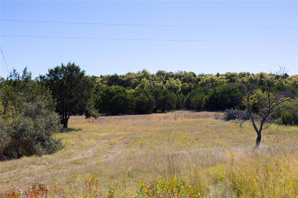 52-acres 52-acres Cr-407 Road Baird, TX 79504 - Photo 19 of 39 View of nature featuring rural landscape