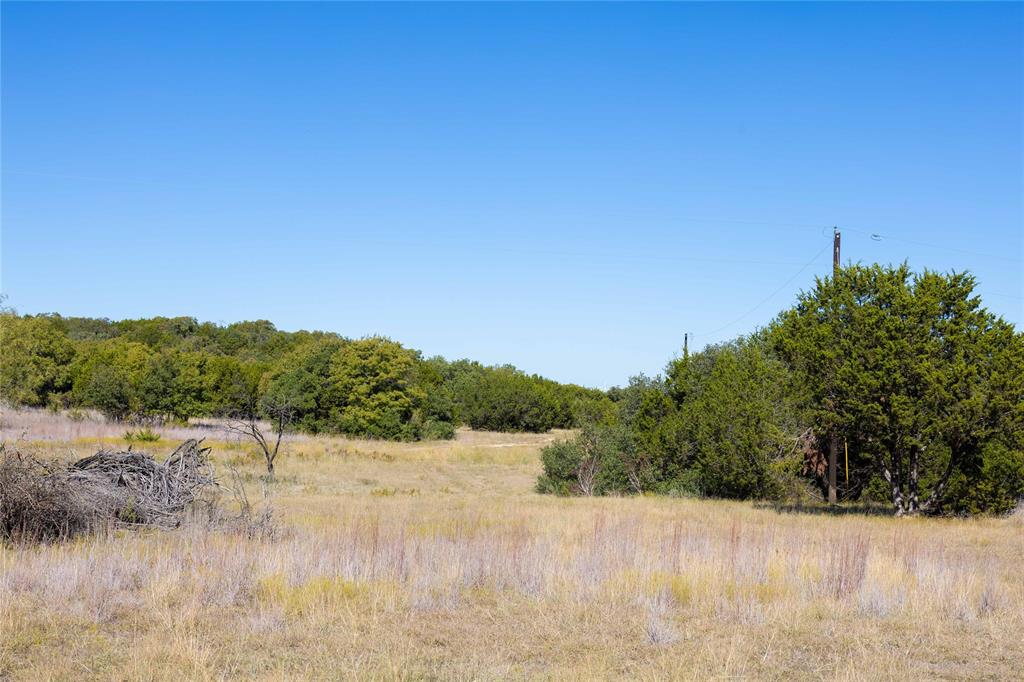 52-acres 52-acres Cr-407 Road Baird, TX 79504 - Photo 20 of 39 View of woods