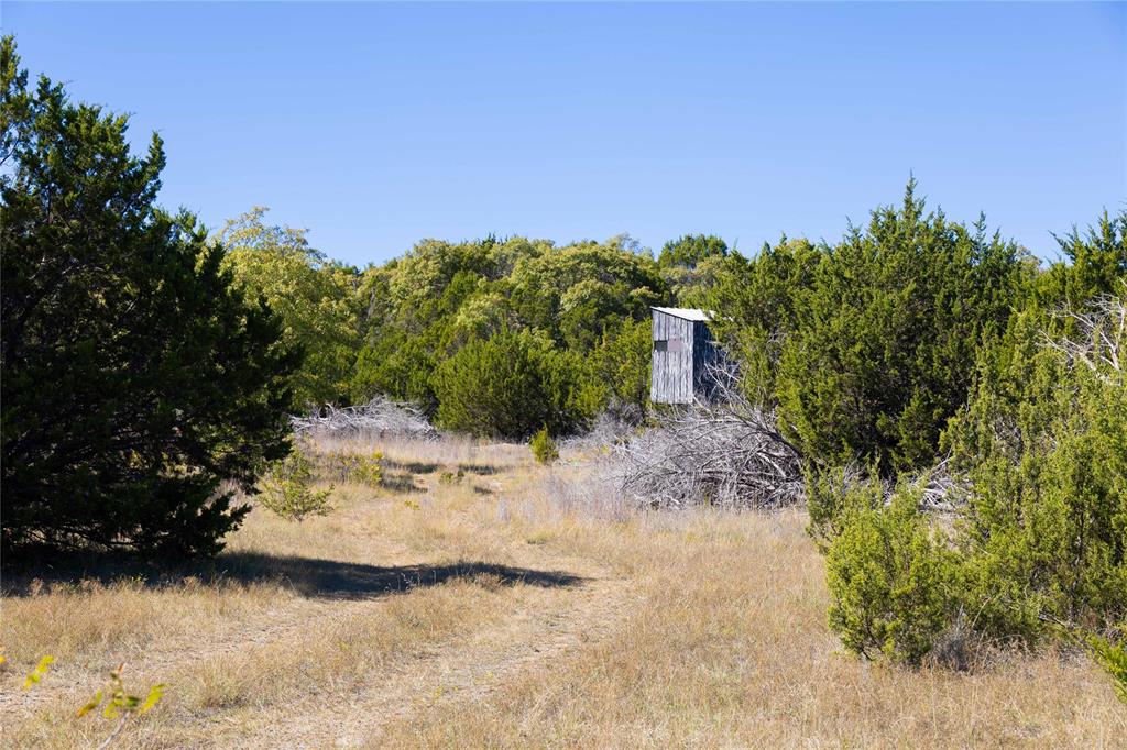 52-acres 52-acres Cr-407 Road Baird, TX 79504 - Photo 2 of 39 a view of a yard with a tree