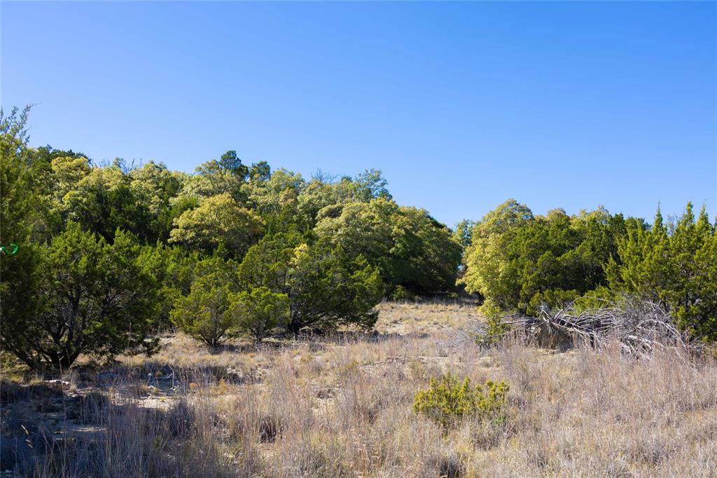 52-acres 52-acres Cr-407 Road Baird, TX 79504 - Photo 23 of 39 a view of a field with a tree in the background