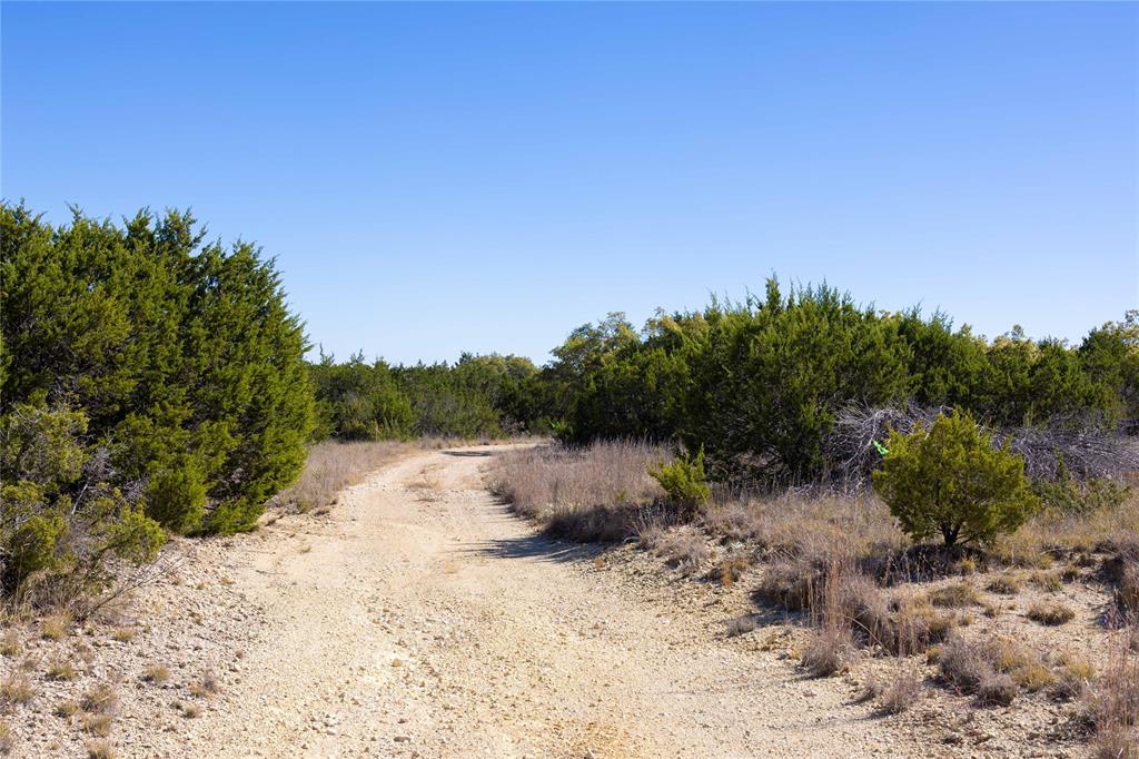 52-acres 52-acres Cr-407 Road Baird, TX 79504 - Photo 24 of 39 a backyard of a house with lots of green space
