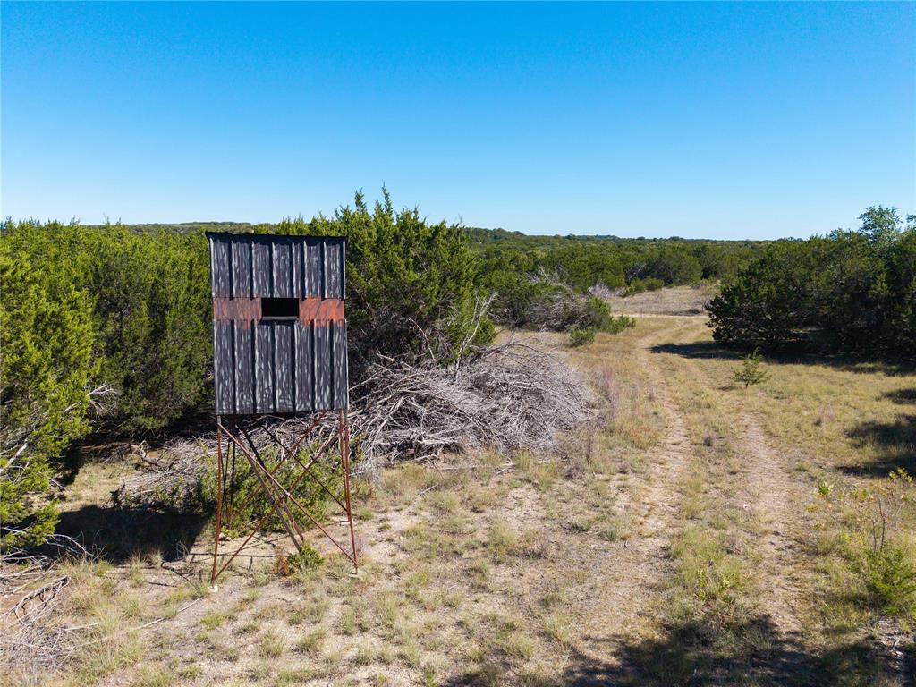 52-acres 52-acres Cr-407 Road Baird, TX 79504 - Photo 31 of 39 View of yard