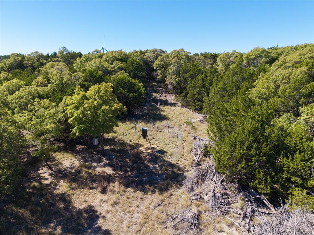 52-acres 52-acres Cr-407 Road Baird, TX 79504 - Photo 32 of 39 View of nature