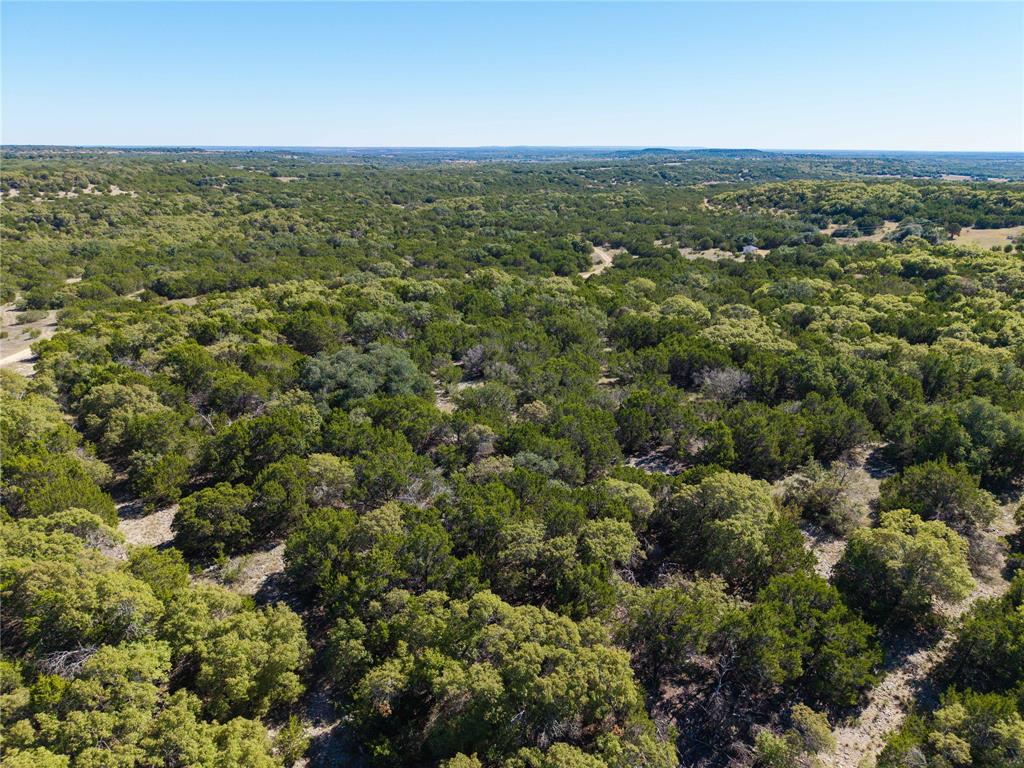52-acres 52-acres Cr-407 Road Baird, TX 79504 - Photo 35 of 39 an aerial view of forest