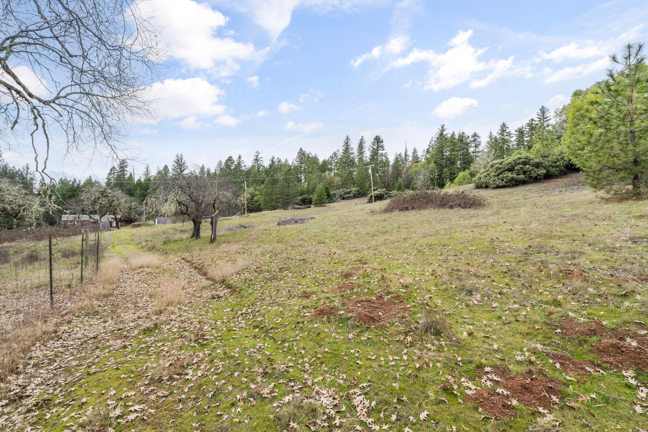 1698 Davis Creek Road Selma, OR 97538 - Photo 27 of 42 26