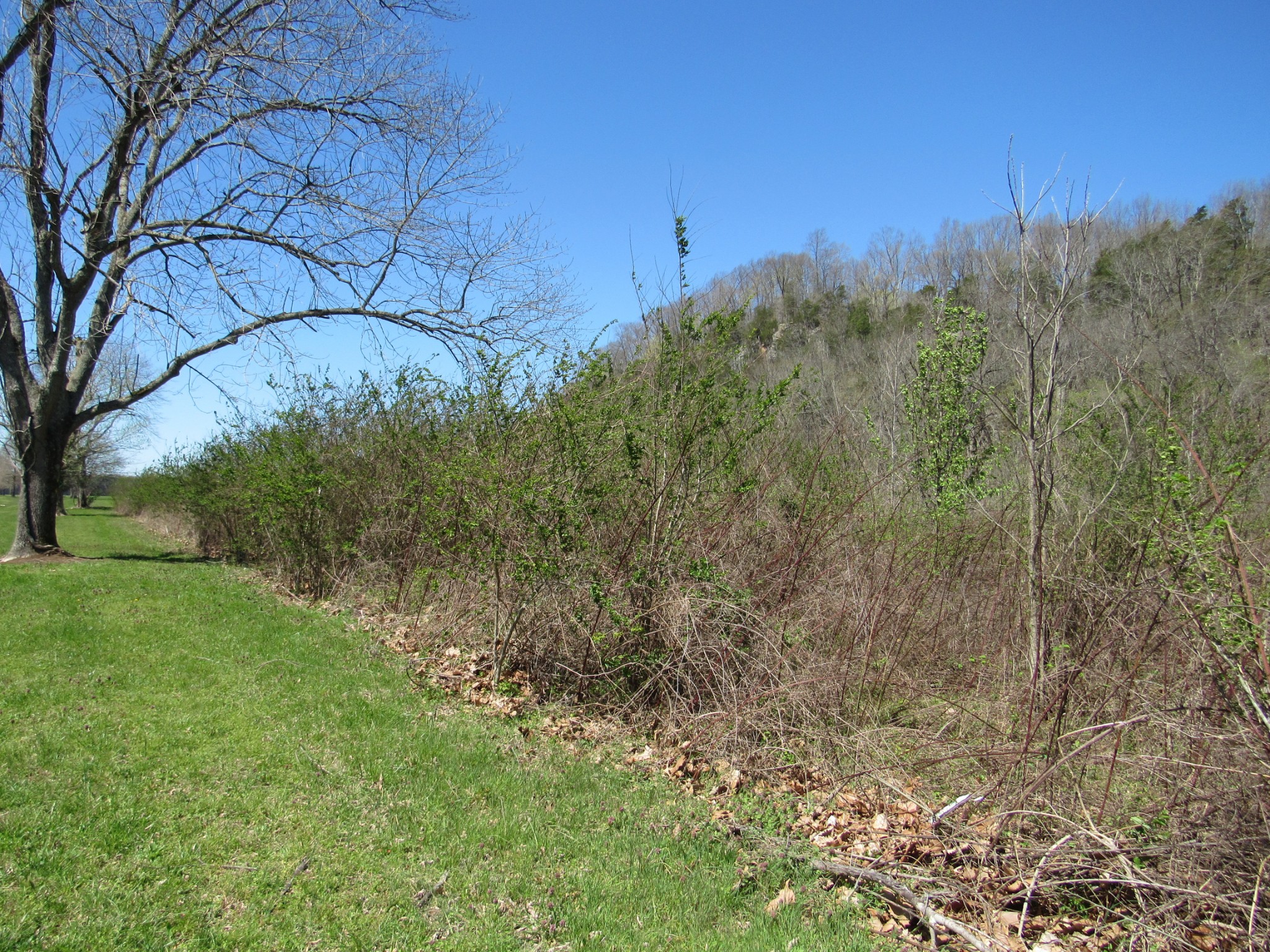 1 Cheatham Dam Road Ashland City, TN 37015 - Photo 13 of 26 Gallery Image 13