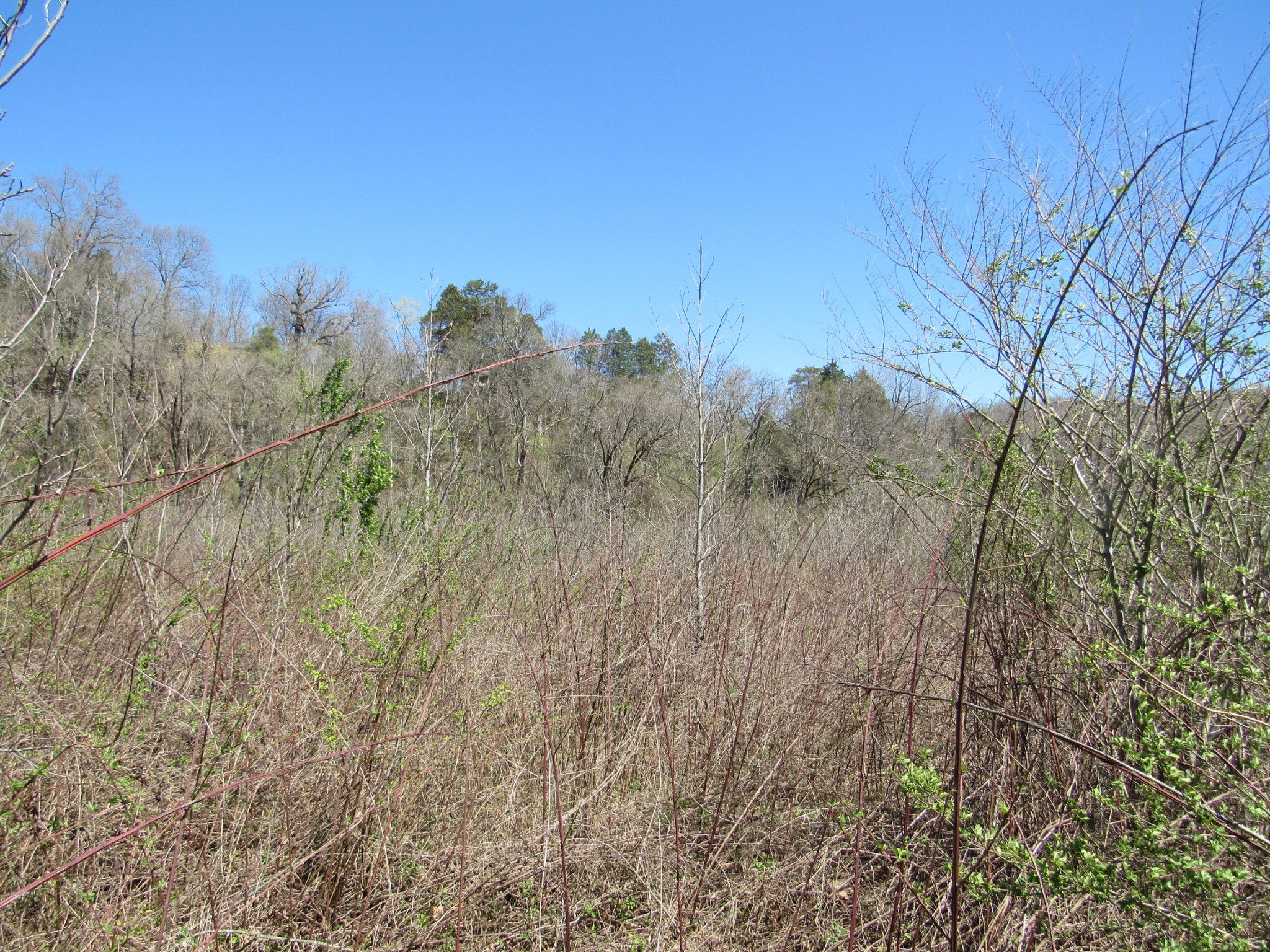 1 Cheatham Dam Road Ashland City, TN 37015 - Photo 14 of 26 Gallery Image 14