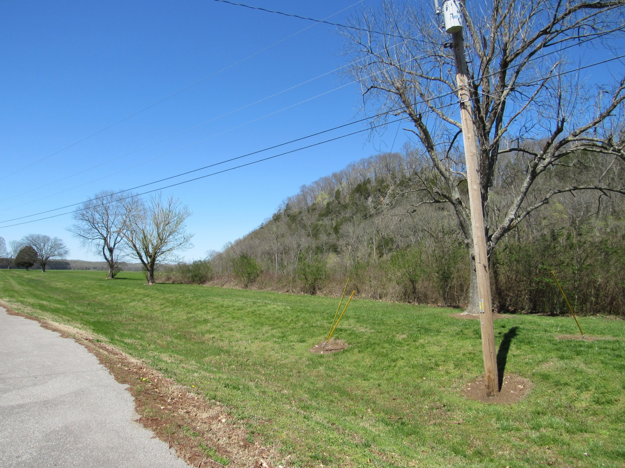 1 Cheatham Dam Road Ashland City, TN 37015 - Photo 15 of 26 Gallery Image 15