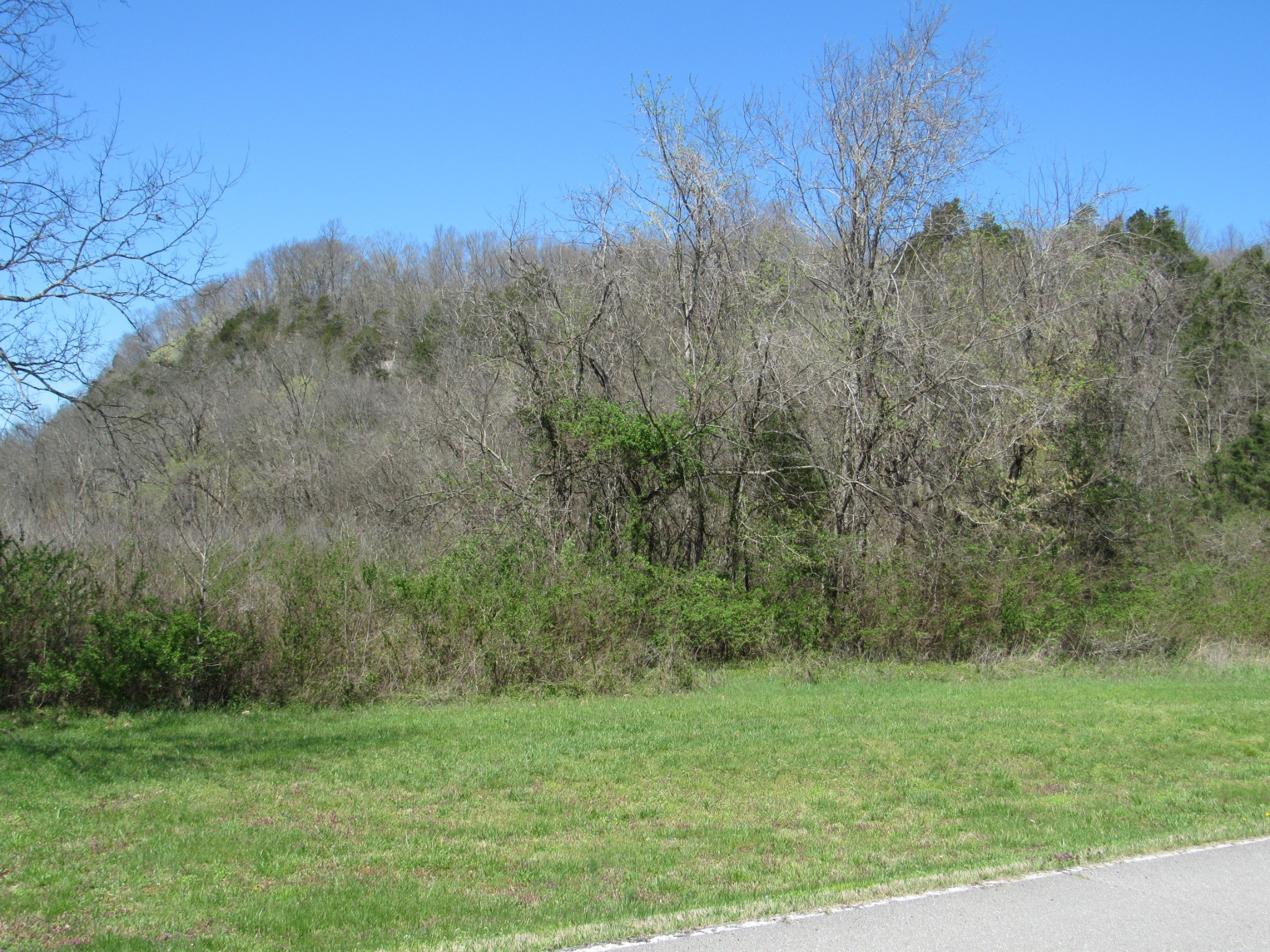 1 Cheatham Dam Road Ashland City, TN 37015 - Photo 19 of 26 Gallery Image 19