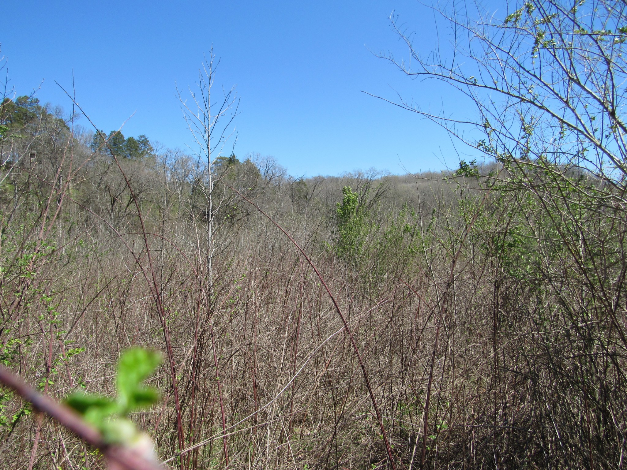 1 Cheatham Dam Road Ashland City, TN 37015 - Photo 20 of 26 Gallery Image 20