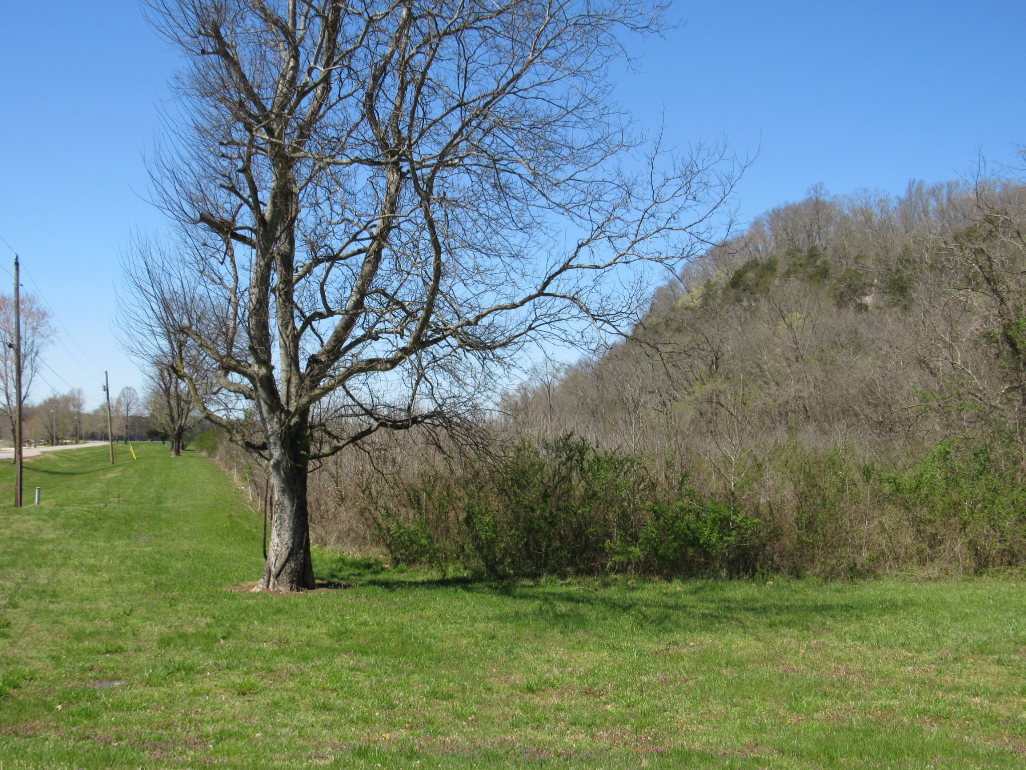 1 Cheatham Dam Road Ashland City, TN 37015 - Photo 2 of 26 Gallery Image 2