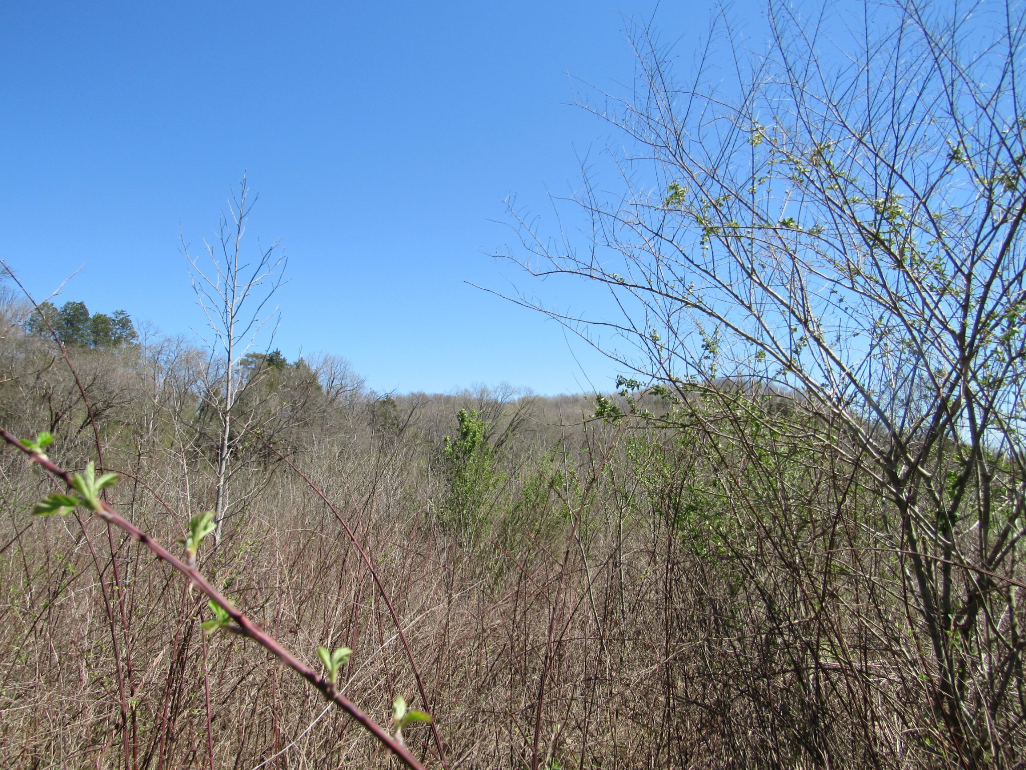 1 Cheatham Dam Road Ashland City, TN 37015 - Photo 21 of 26 Gallery Image 21