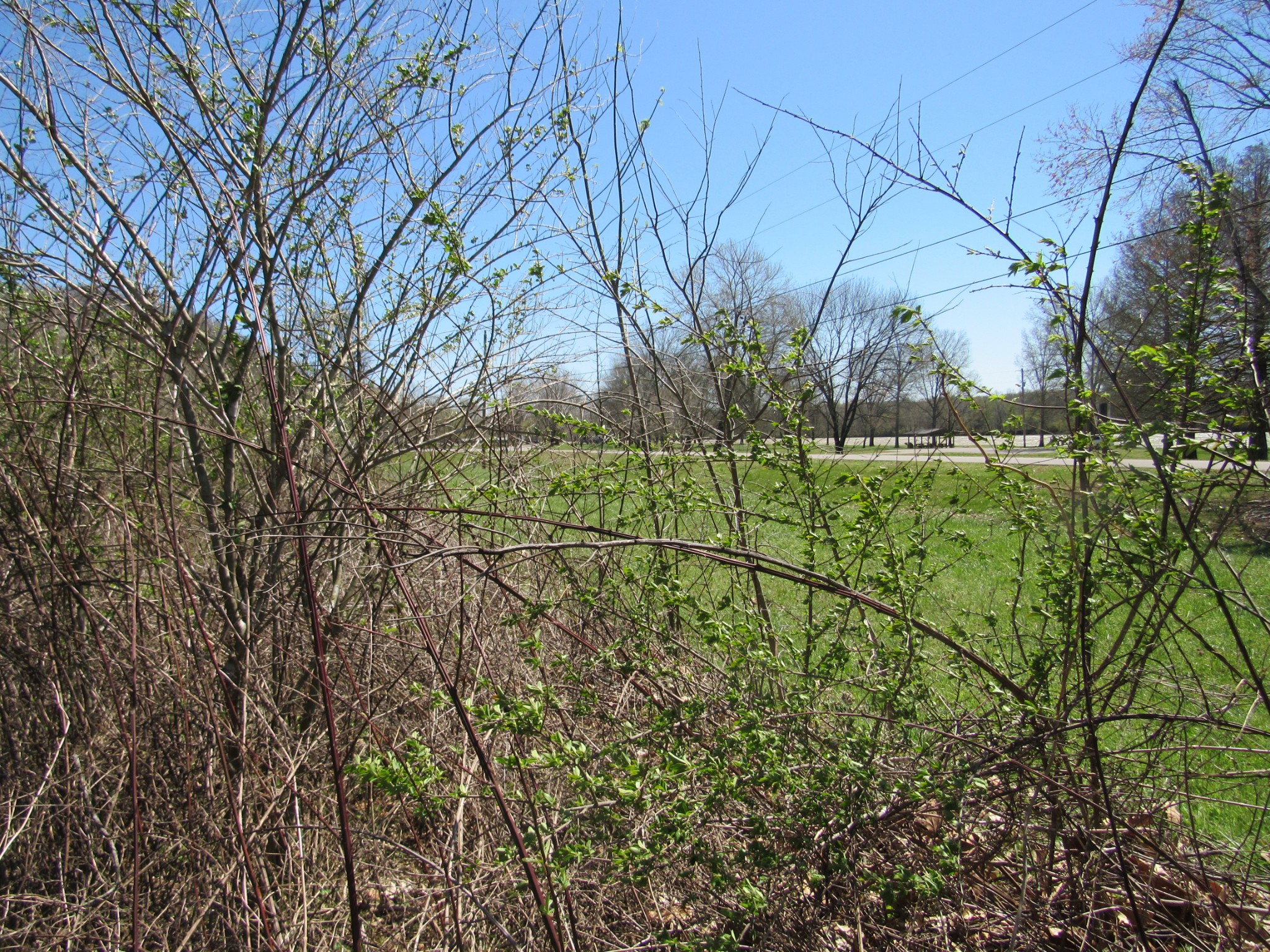 1 Cheatham Dam Road Ashland City, TN 37015 - Photo 22 of 26 Gallery Image 22