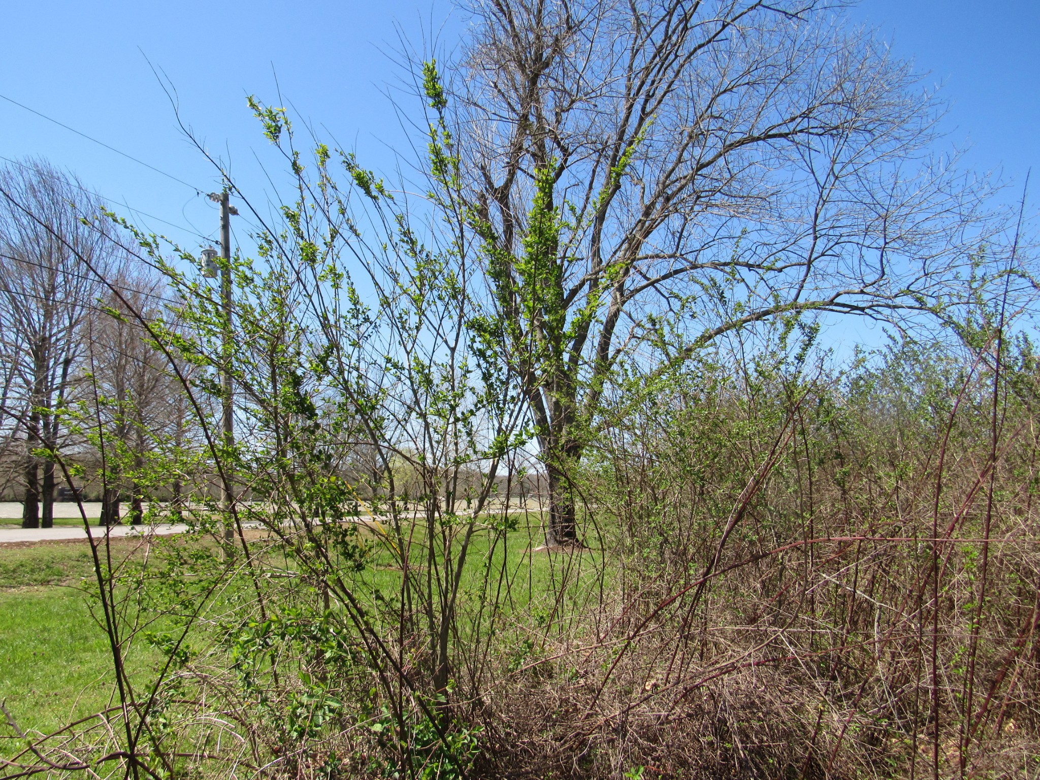 1 Cheatham Dam Road Ashland City, TN 37015 - Photo 23 of 26 Gallery Image 23
