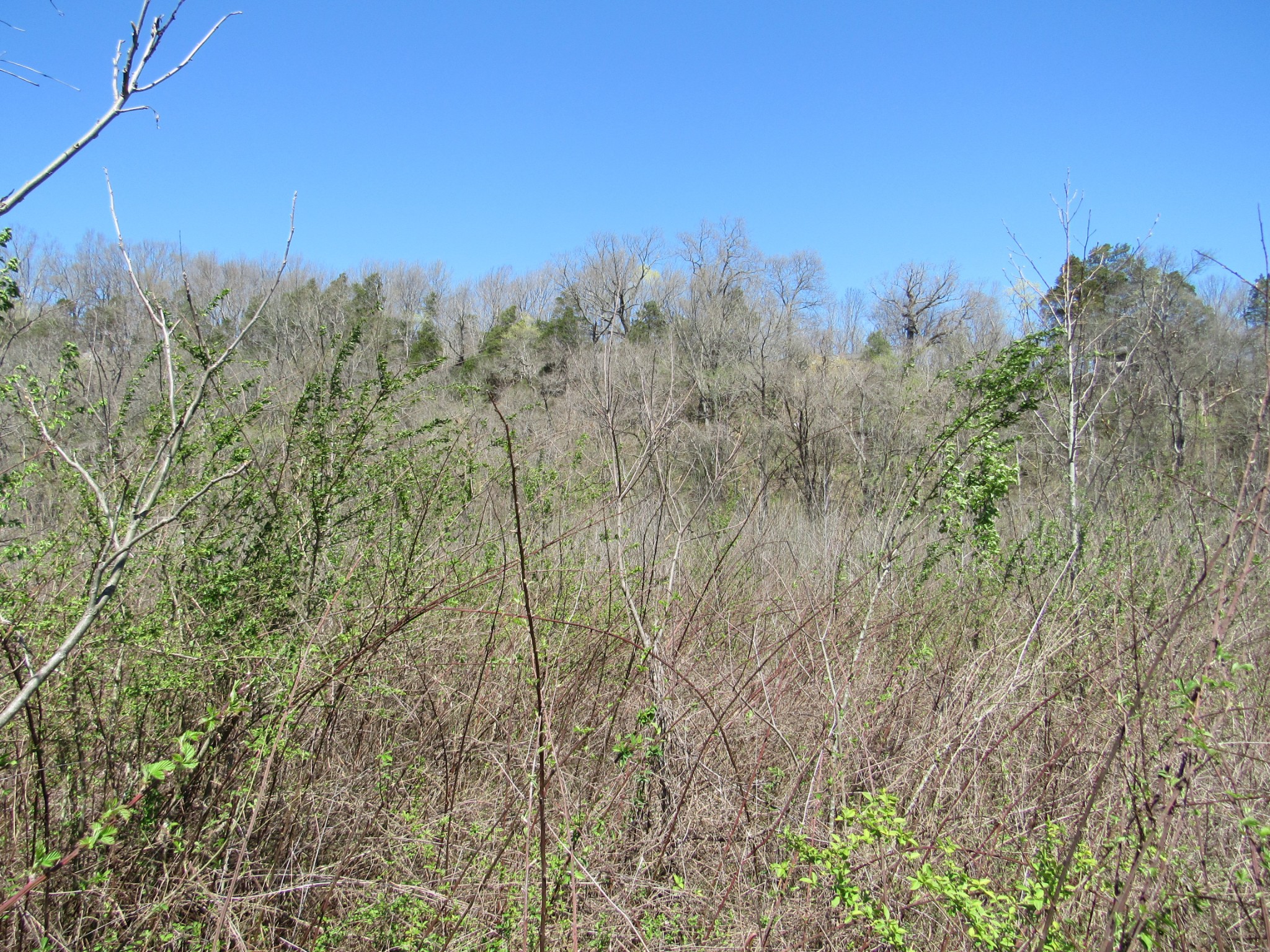 1 Cheatham Dam Road Ashland City, TN 37015 - Photo 25 of 26 Gallery Image 25