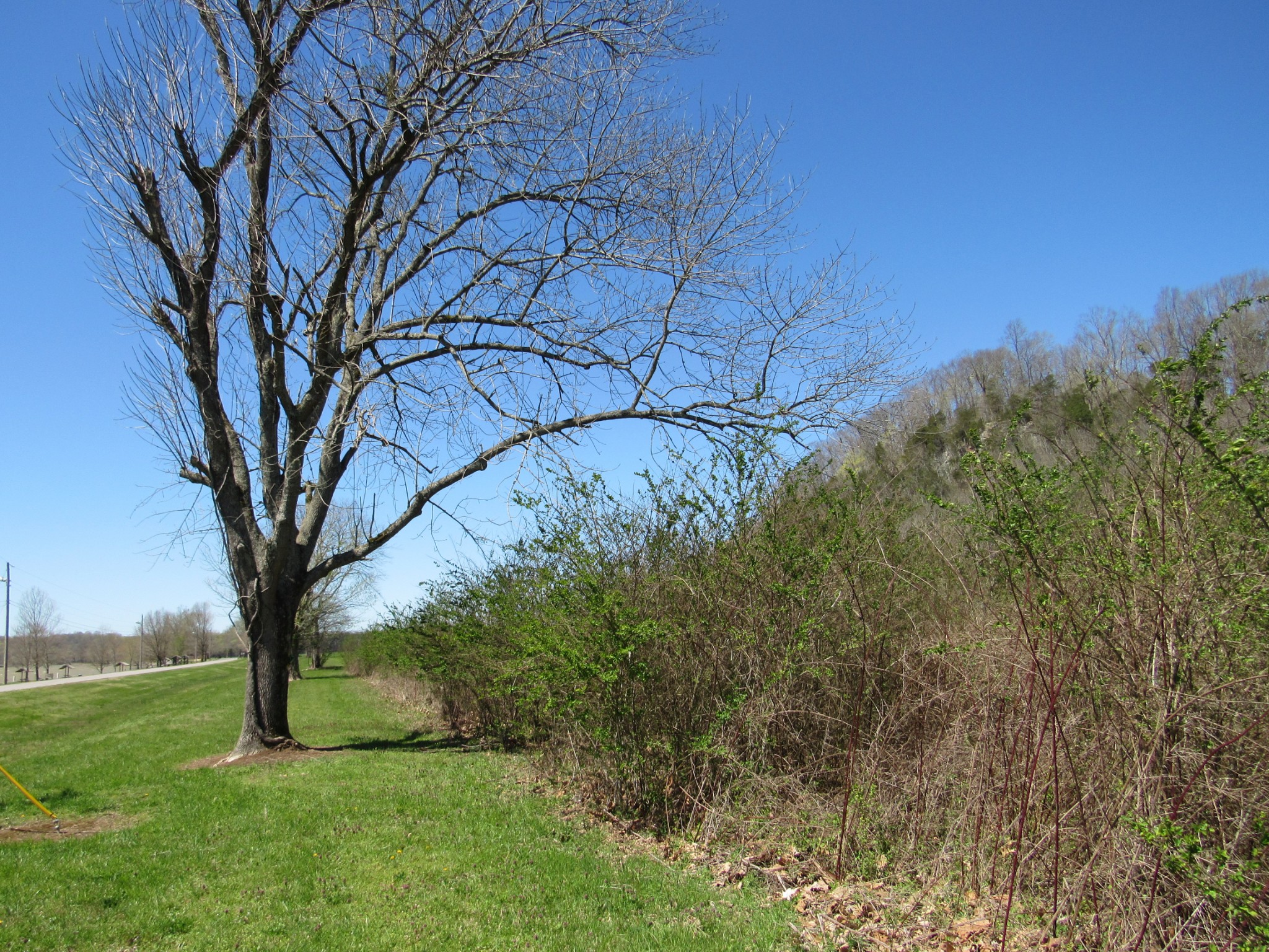 1 Cheatham Dam Road Ashland City, TN 37015 - Photo 26 of 26 Gallery Image 26