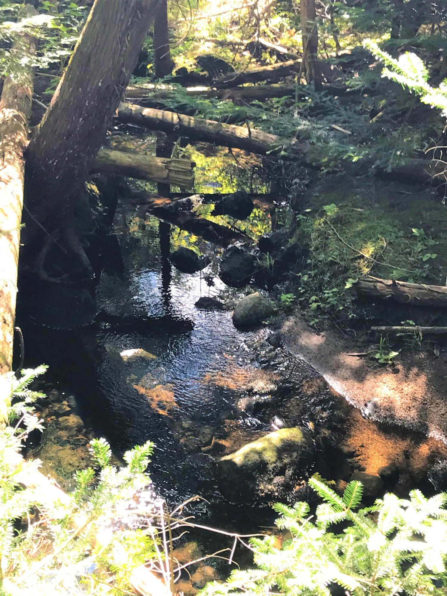 0 Front Ridge Road Penobscot, ME 04476 - Photo 6 of 14 Stream