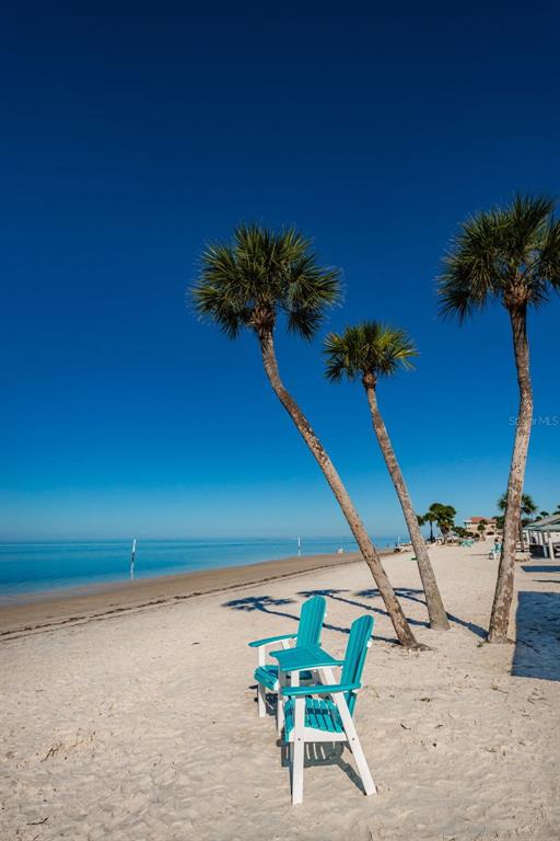5032 Sand Castle Drive New Port Richey, FL 34652 - Photo 69 of 87 a view of a backyard with plants and a table