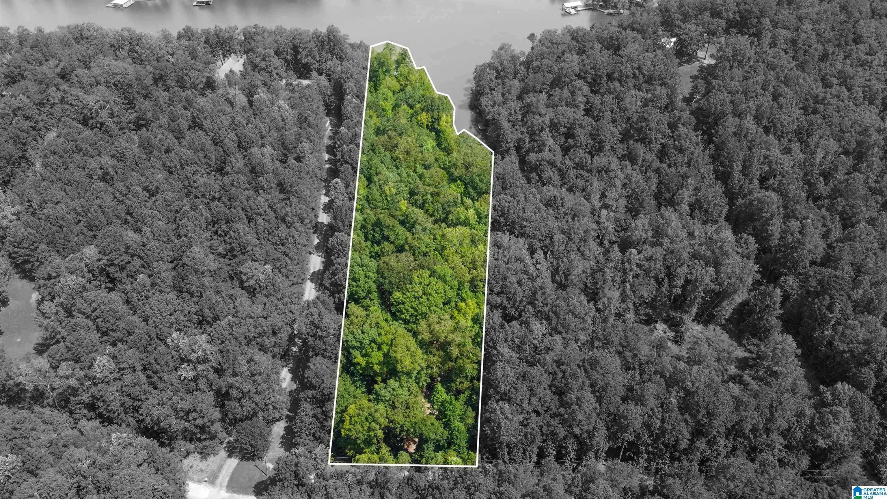 0 Colvin Springs Road Ashville, AL 35953 - Photo 4 of 31 Gallery Image 4