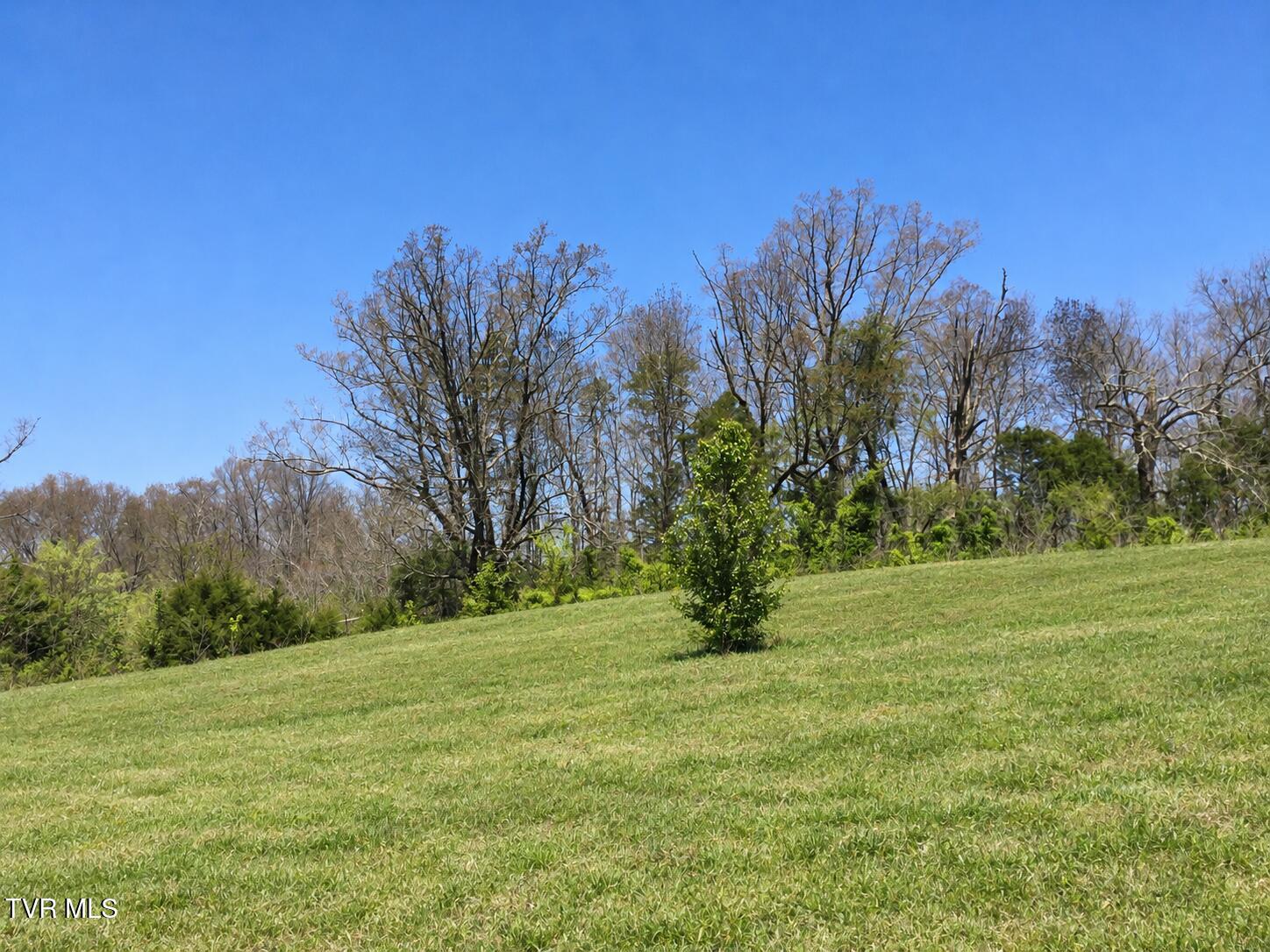 3050 Shackleford Road, Unit P/O Mosheim, TN 37818 - Photo 12 of 79 _Pic13 (1)