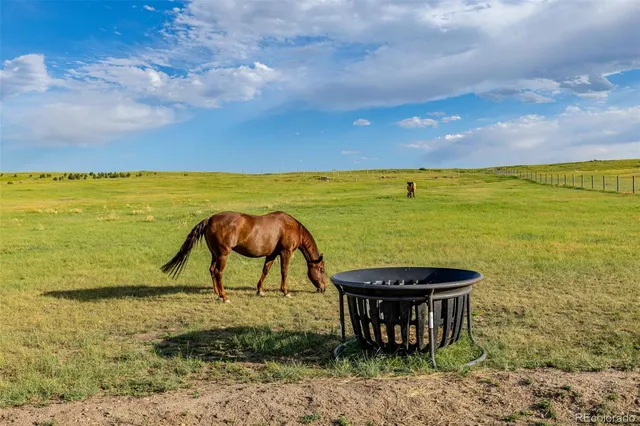a view of a terrace with lawn chairs