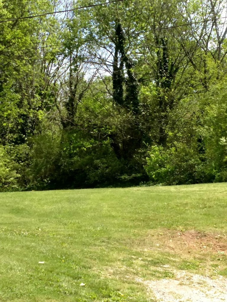 1056 Friends Station Road New Market, TN 37820 - Photo 4 of 9