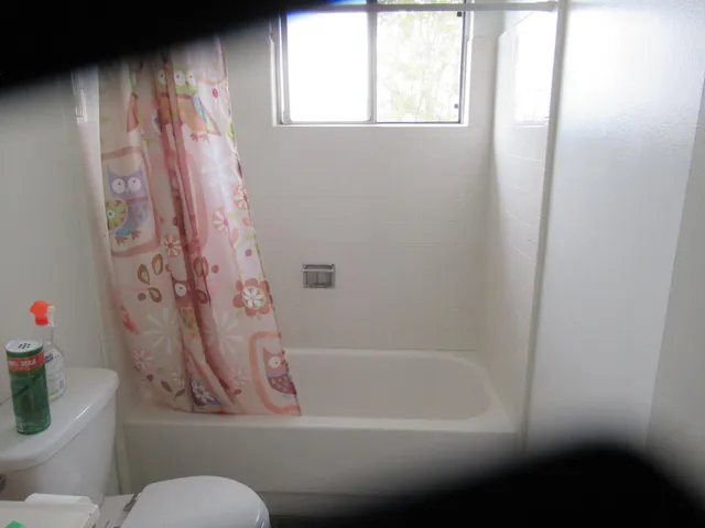 a bathroom with a toilet and a shower curtain