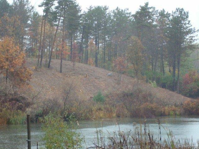 2 Campground Road Romeo, MI 48065 - Photo 5 of 7