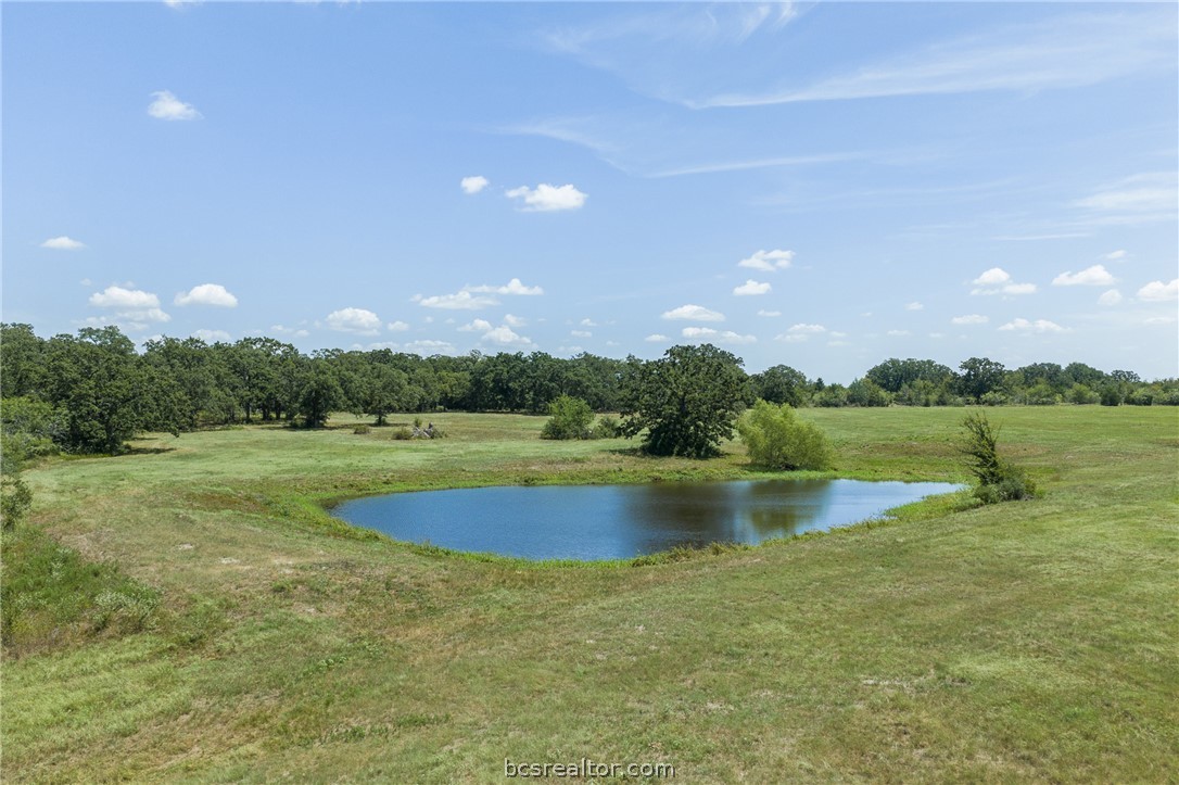 3675 Zulch Road North Zulch, TX 77872 - Photo 13 of 21 Gallery Image 13