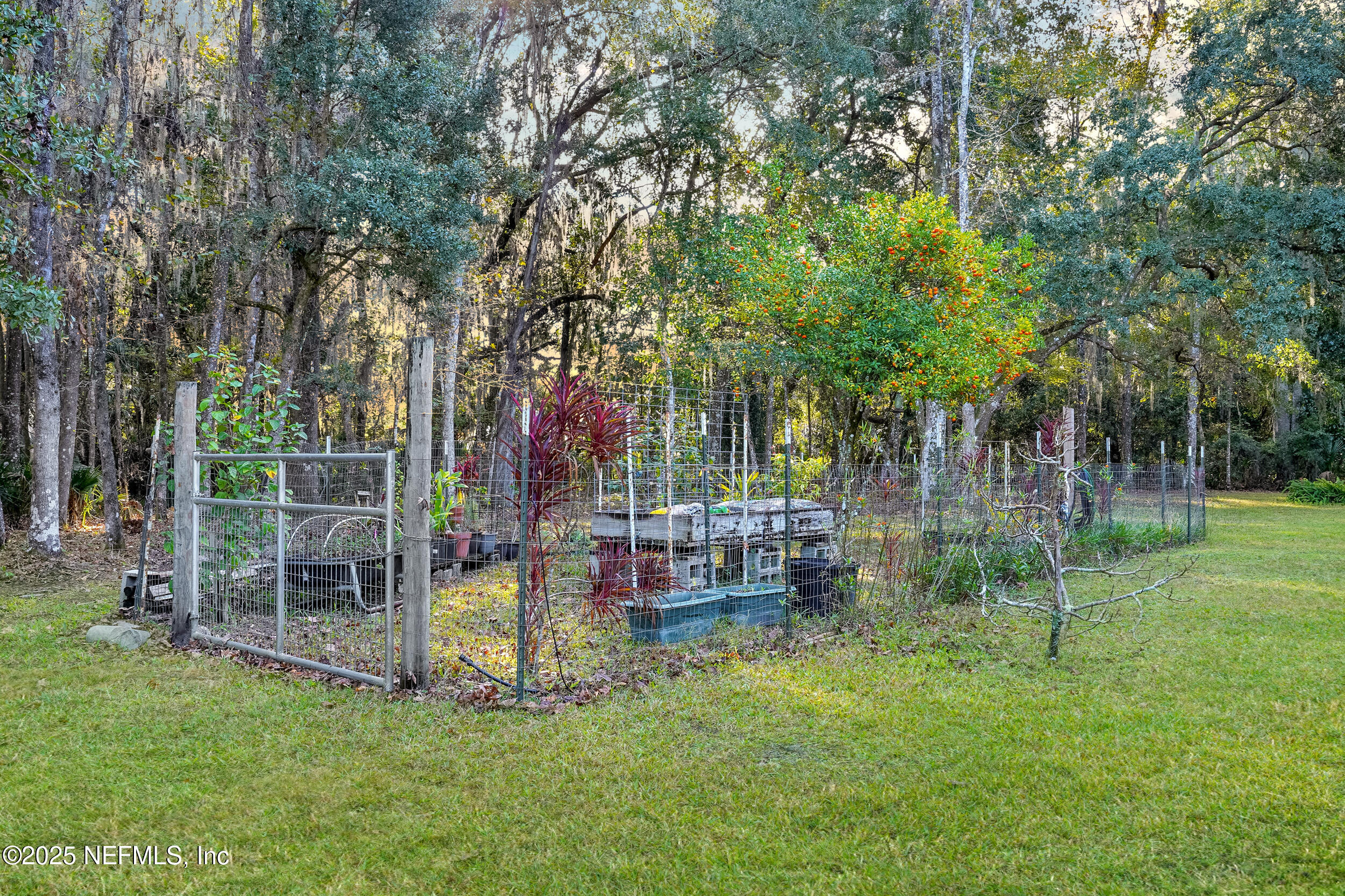 122 Drayton Island Road Georgetown, FL 32139 - Photo 46 of 58 dsc04510
