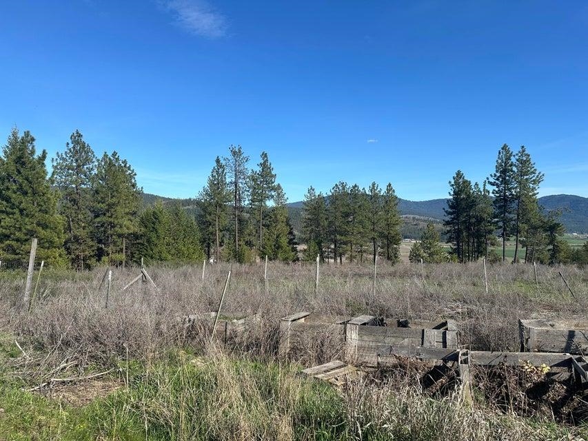 696 A Arden Hill Road Colville, WA 99114 - Photo 11 of 20