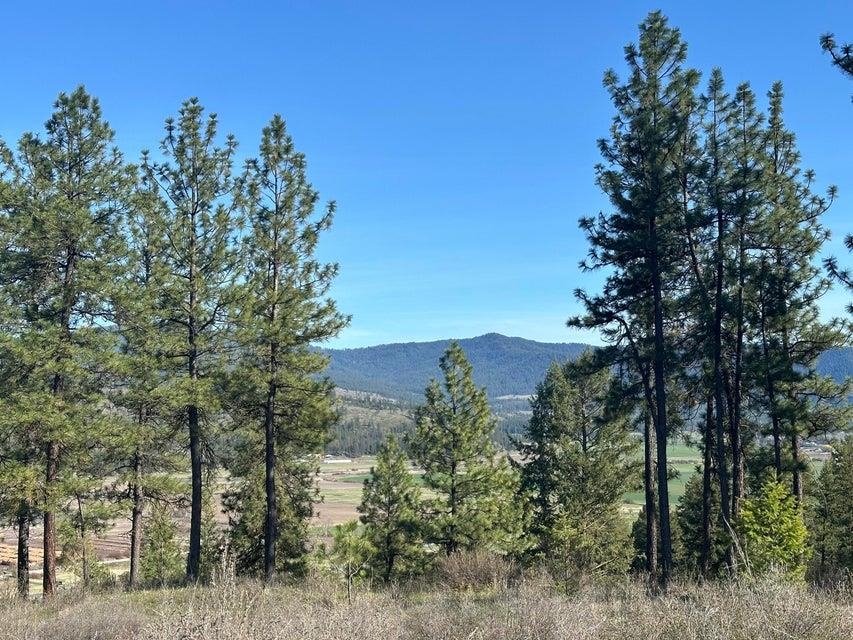 696 A Arden Hill Road Colville, WA 99114 - Photo 2 of 20