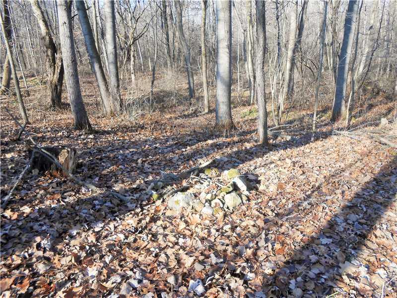 629 Game Farm Road New Castle, PA 16101 - Photo 7 of 23 Other. Firepit