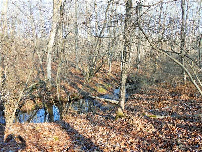 629 Game Farm Road New Castle, PA 16101 - Photo 9 of 23 Land. Stream