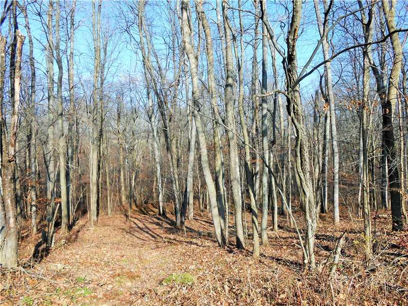 629 Game Farm Road New Castle, PA 16101 - Photo 10 of 23 Land. Woods