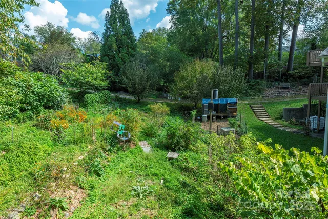 a view of a garden with a bench in a garden