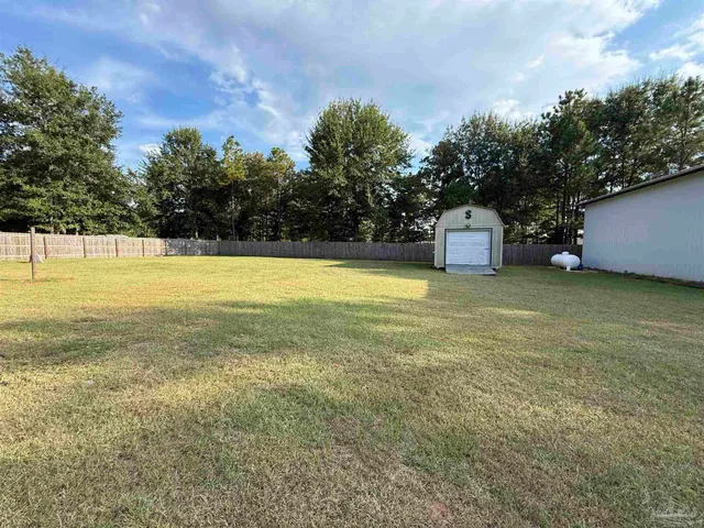 a view of a large tree with a big yard