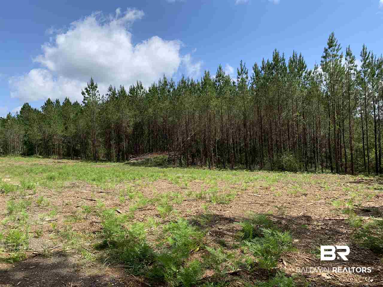 31810 Happy Hollow Road Robertsdale, AL 36567 - Photo 2 of 7