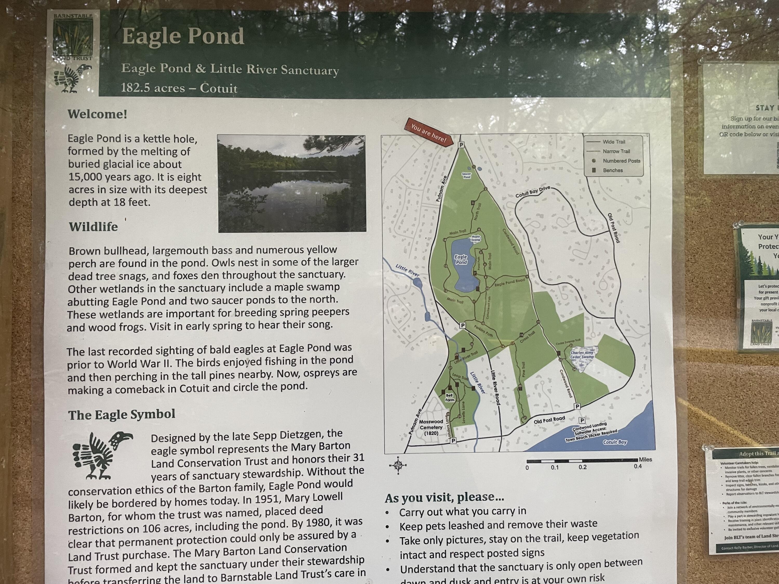 83 Whitmar Road Barnstable, MA 02635 - Photo 24 of 27 a picture of a book and a bed