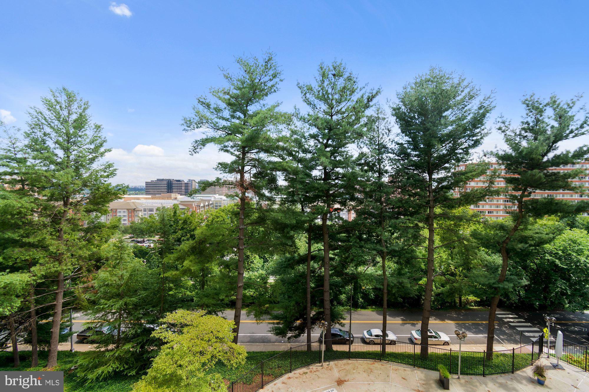 1101 South Arlington Ridge Road, Unit 902 Arlington, VA 22202 - Photo 37 of 38 a view of a garden with plants