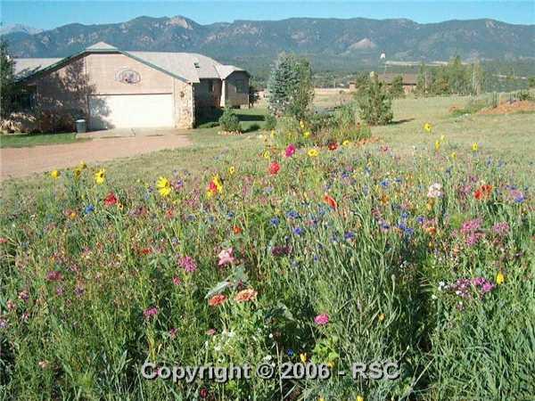355 Struthers Loop Colorado Springs, CO 80921 - Photo 1 of 8 Gallery Image 1