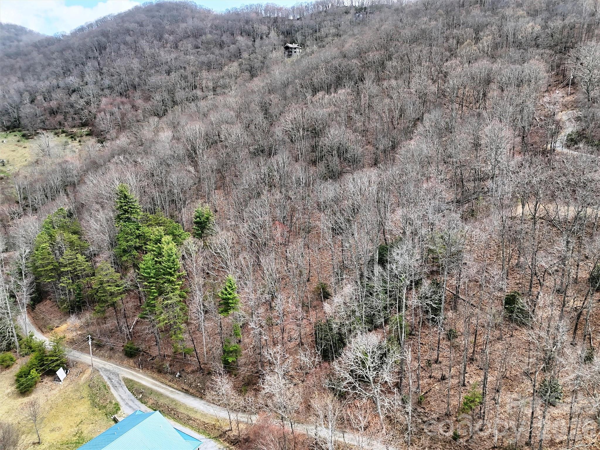 Tbd Moonbeam Lane, Unit 101 102 Clyde, NC 28721 - Photo 9 of 20 a view of a yard with large trees