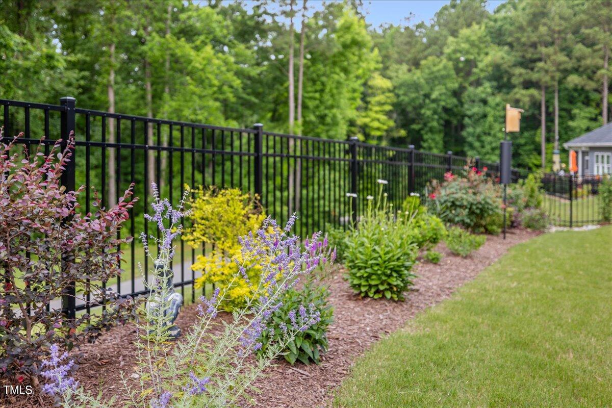 229 Ivory Lane Raleigh, NC 27610 - Photo 34 of 46 a view of a garden with plants