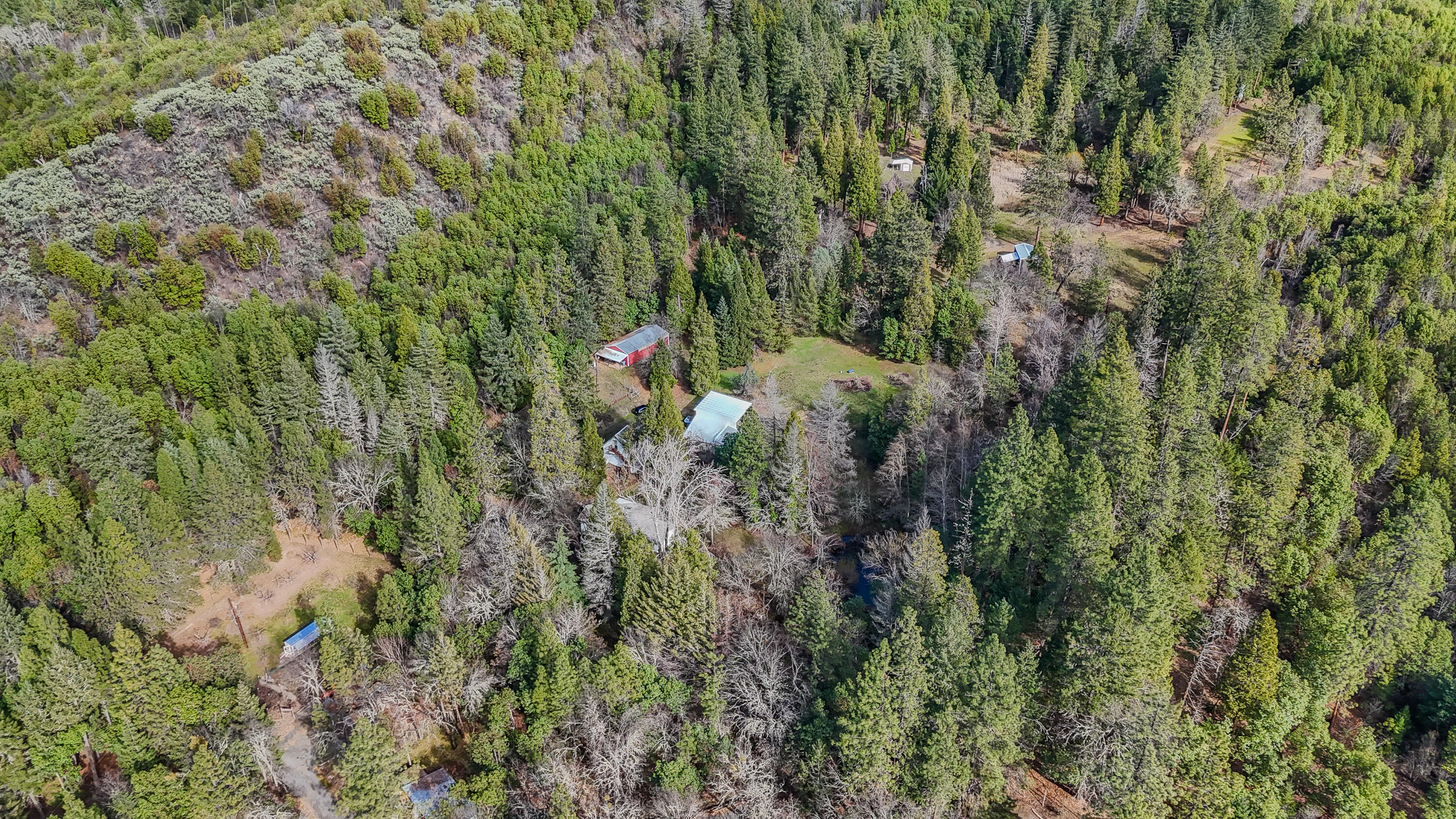 10950 Ramsey Road Gold Hill, OR 97525 - Photo 59 of 59 01-2