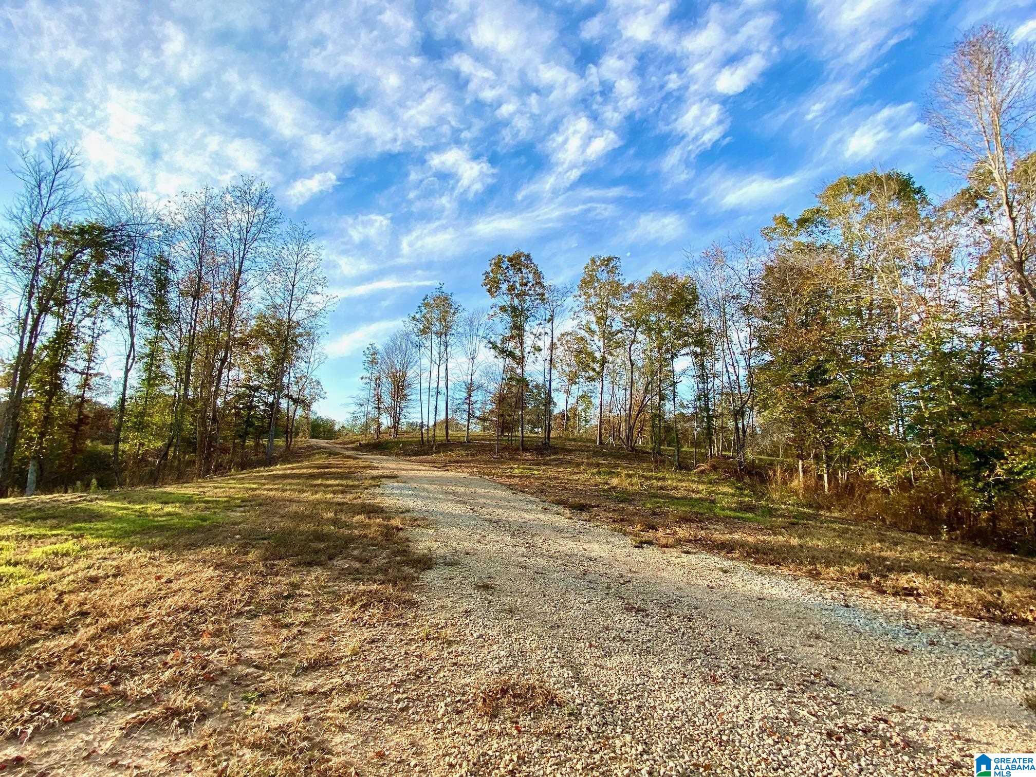 325 County Road 13 Heflin, AL 36264 - Photo 13 of 56
