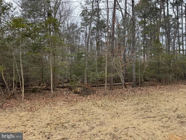 a view of outdoor space with trees