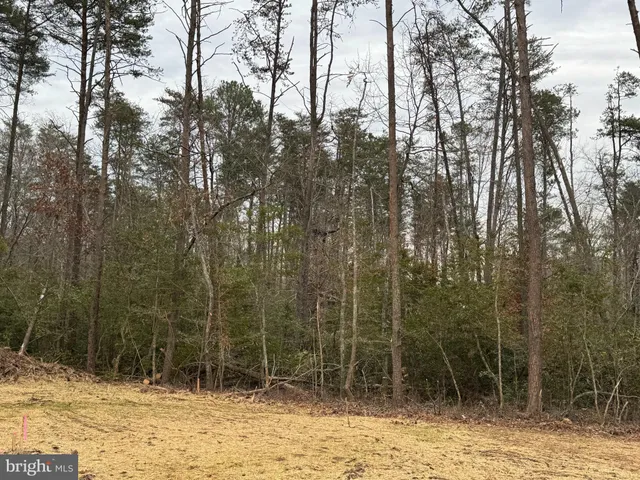 a view of wooden fence