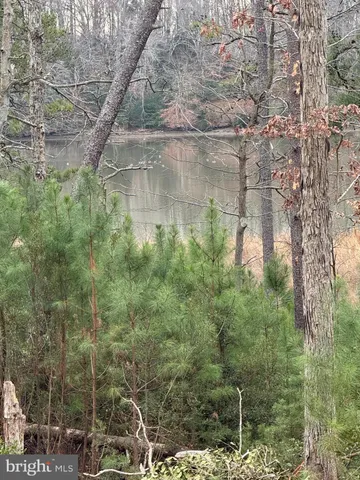 a view of lake from under an trees